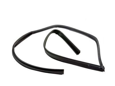 GM 88974657 Weatherstrip,Front Side Door Window