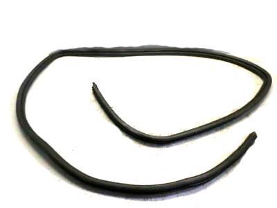 GM 10313535 Weatherstrip Assembly, Front Side Door