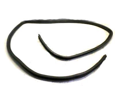 2002 Buick Rendezvous Weather Strip - 10313535