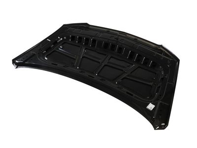 Cadillac 84931160