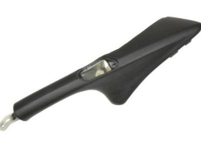 GM 10348317 Handle Assembly, Front Side Door Pull *Ebony