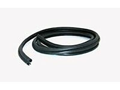 Chevrolet HHR Weather Strip - 19207495