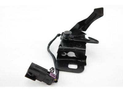 GM 23195545 Latch Assembly, Hood Primary & Secondary