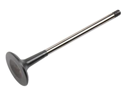 2014 Chevrolet Cruze Exhaust Valve - 55568127