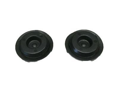 GM 21038829 Grommet, R