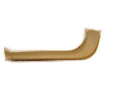 GM 96836446 Panel,Lift Gate Trim Finish