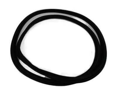 2013 Cadillac XTS Weather Strip - 23131014