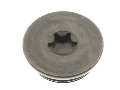 GM 55571241 Plug,Camshaft Position Actuator Hub Cover