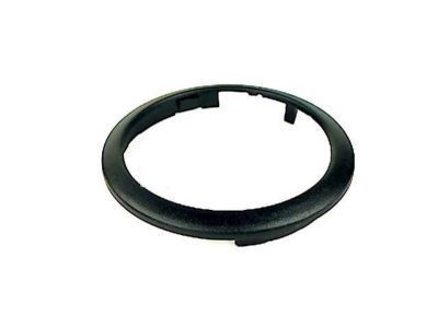 GM 96541651 Escutcheon,Front Side Door Pull Handle