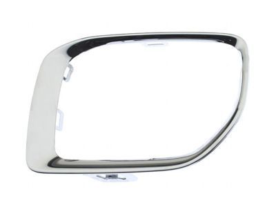 GM 84214462 Bezel, Front Fog Lamp *Exterior Brim