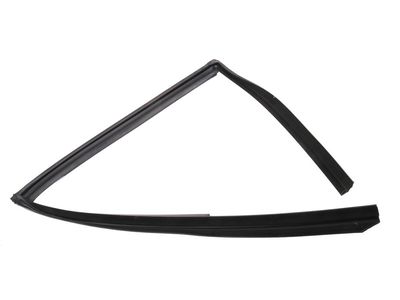 Buick Century Window Channel - 10415508