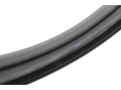 2008 Pontiac G8 Door Seal - 92280412