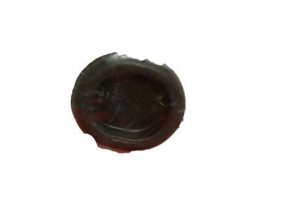 2005 Buick Allure Body Mount Hole Plug - 10273273