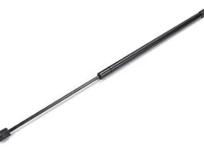GM Tailgate Lift Support - 15093449