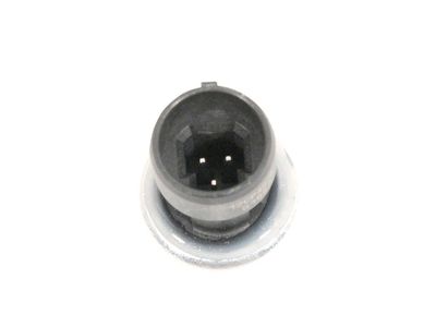 Chevrolet 13587697