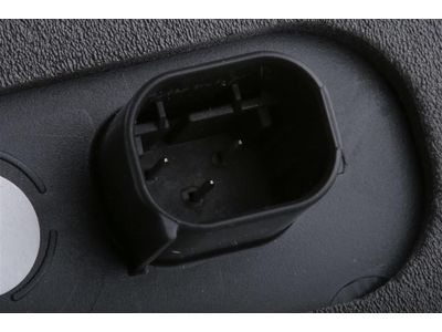 23469017 GM Applique Assembly, Rear Closure Fixed Handle   Product Photo 1 of 3