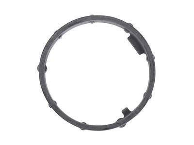 GM 55596730 Gasket, Oil Filter 55596730 GM Gasket, Oil Filter Product Photo 1 of 2