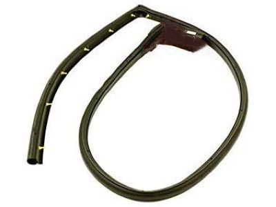 GM 15821952 Weatherstrip Assembly, Intermediate Side Door