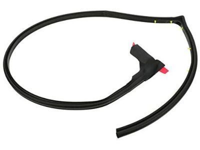 GM 15821952 Weatherstrip Assembly, Intermediate Side Door