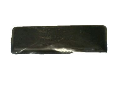 GM 96951326 Strip, Rear Side Door Rubber *Jet Black