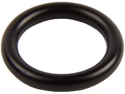 GM 25198928 Seal, Turbo Cool Feed Hose