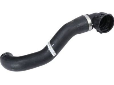 2010 Chevrolet Corvette Radiator Hose - 19130526