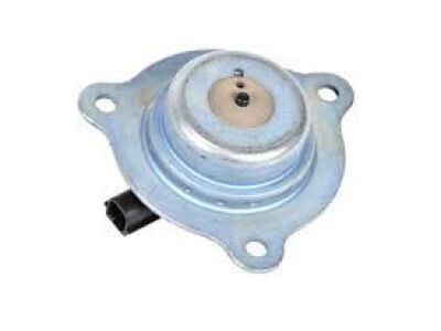 GM 12623906 Magnet, Camshaft Position Actuator