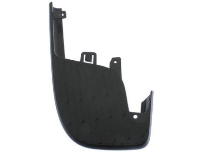 GM 22900985 Pad, Rear Bumper Step Outer