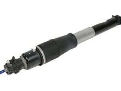 Buick Lucerne Shock Absorber - 19302769