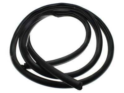 Hummer H2 Weather Strip - 25910530