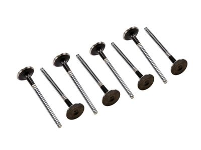 2009 Chevrolet Aveo Exhaust Valve - 25192555