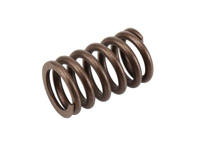 Chevrolet Impala Rocker Shaft Spring Kit - 10212811