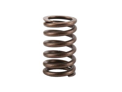 Chevrolet Impala Rocker Shaft Spring Kit - 10212811