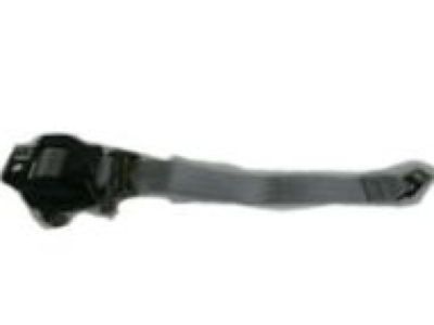 2013 Chevrolet Express Seat Belt - 19258748