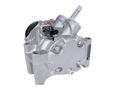 Chevrolet Trailblazer A/C Compressor - 25825339
