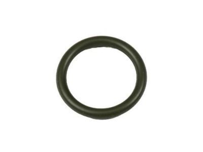 GM 12577855 Seal, Vacuum Source Manifold (O Ring)