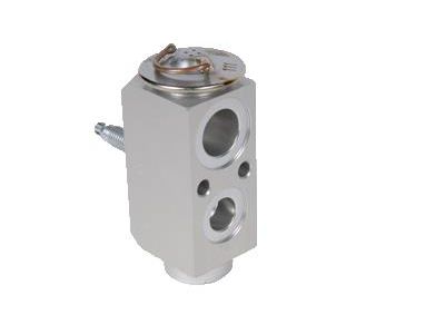 GMC A/C Expansion Valve - 25994366