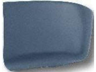 GM 15598837 Extension, Rear Bumper Step Pad