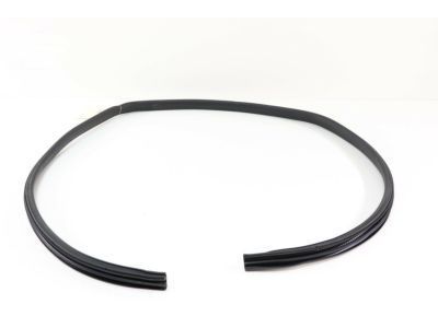 2007 Hummer H3 Door Seal - 25931888