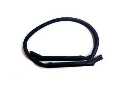 2002 Chevrolet Corvette Weather Strip - 10329158