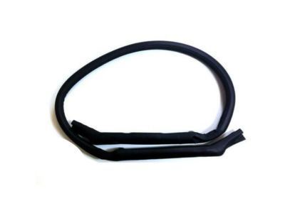 1998 Chevrolet Corvette Weather Strip - 10329158