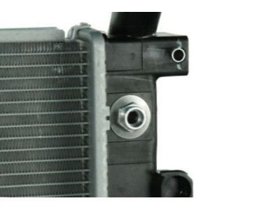 GM 25813498 Radiator Assembly