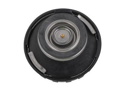 2002 Chevrolet Astro Radiator Cap - 15064718