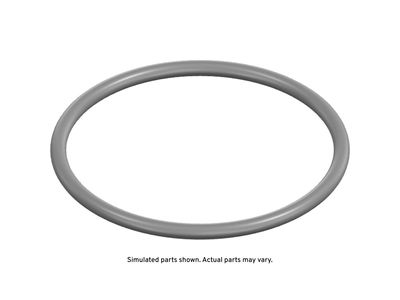 GM Fuel Pump Seal - 13562738