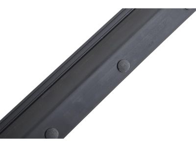 2024 Chevrolet Trax Weather Strip - 42808025