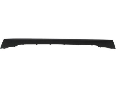 GM 84161583 Plate, Front Bumper Fascia Skid *Black