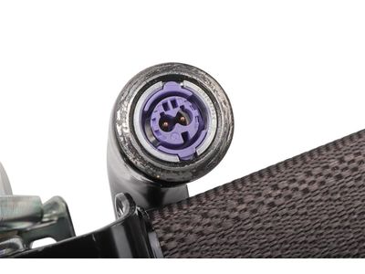 Chevrolet Silverado Seat Belt - 84493992