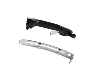 2019 Cadillac Escalade Door Handle - 13534893