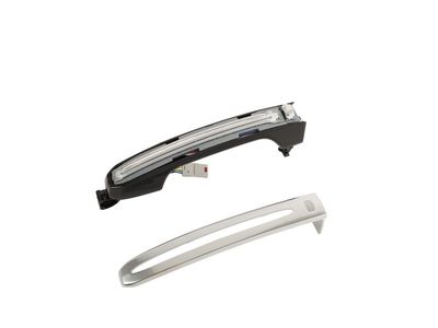 2019 Cadillac Escalade Door Handle - 13534893
