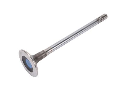 Cadillac XT4 Exhaust Valve - 55486585